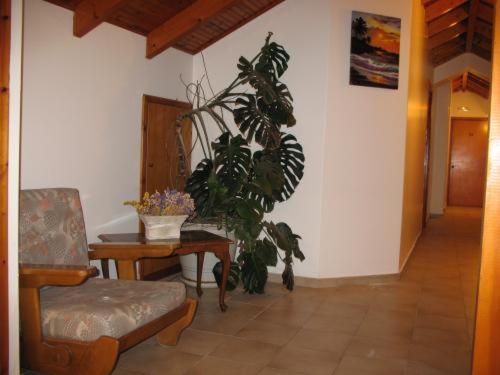 Athina Hotel Krestena Exterior photo